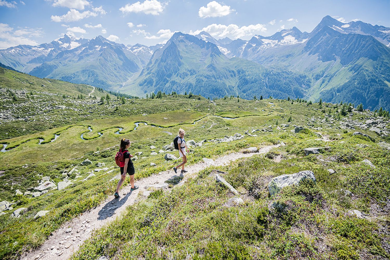 Zwei Wanderinnen auf einem alpinen Weg durch ein Biotop im Ahrntal